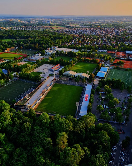 本菲卡展现 本菲卡展现