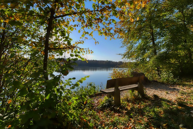 在投篮命中 在投篮命中