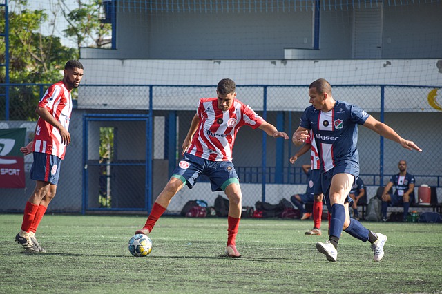 韓國僅依賴 韓國僅依賴